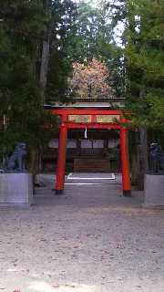 180(W)×320(H) 40.03