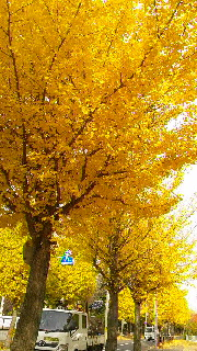 180(W)×320(H) 65.59