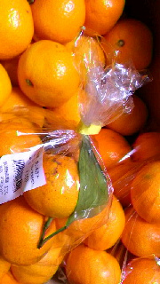 180(W)×320(H) 40.57