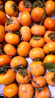 180(W)×320(H) 45.31