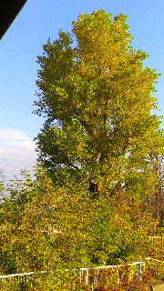 180(W)×320(H) 58.44