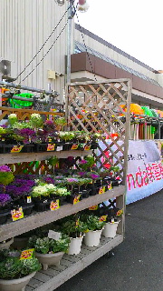 180(W)×320(H) 47.07