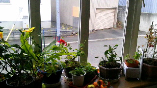 320(W)×180(H) 41.84