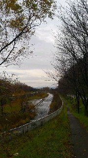 180(W)×320(H) 43.82