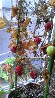 180(W)×320(H) 57.64