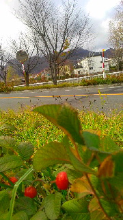 180(W)×320(H) 46.16