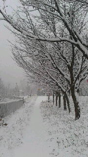 180(W)×320(H) 40.02