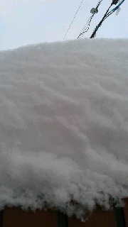 180(W)×320(H) 18.79