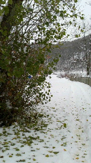 180(W)×320(H) 49.22