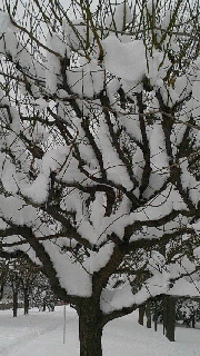 180(W)×320(H) 46.96