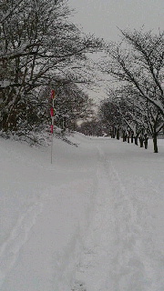 180(W)×320(H) 31.35