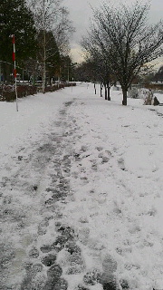 180(W)×320(H) 36.36