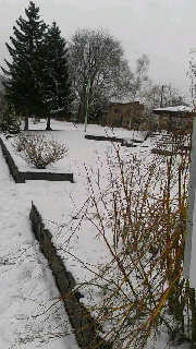 180(W)×320(H) 43.34