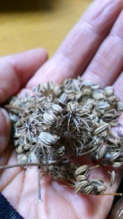 180(W)×320(H) 36.41