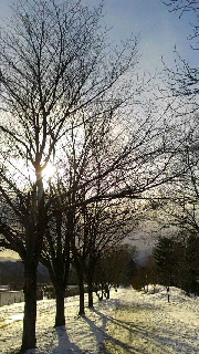 180(W)×320(H) 50.52