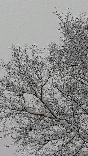 180(W)×320(H) 40.58