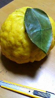 180(W)×320(H) 33.98