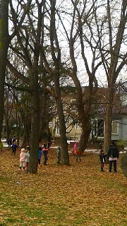 180(W)×320(H) 50.78