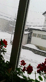 180(W)×320(H) 37.72