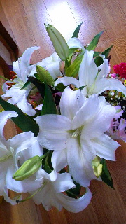 180(W)×320(H) 40.59