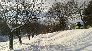 320(W)×180(H) 46.95