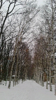 180(W)×320(H) 46.31