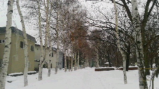 320(W)×180(H) 43.44