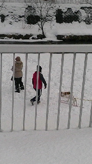 180(W)×320(H) 32.38