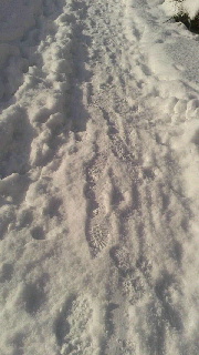 180(W)×320(H) 35.13