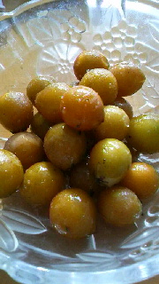 180(W)×320(H) 37.79