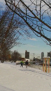 180(W)×320(H) 43.04