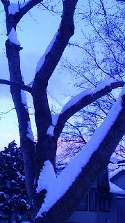 180(W)×320(H) 47.57