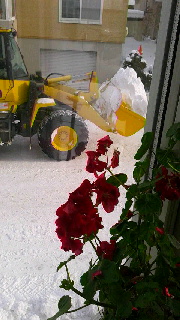 180(W)×320(H) 40.25