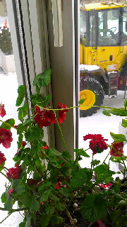 180(W)×320(H) 46.72