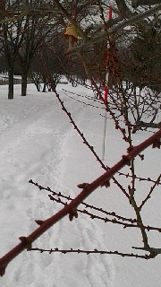 180(W)×320(H) 38.52