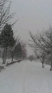 180(W)×320(H) 28.61