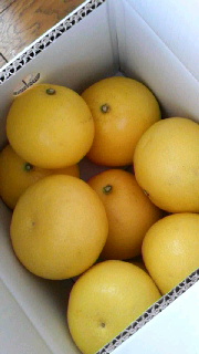 180(W)×320(H) 27.51