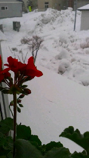 ファイル名: 2016021509290000.jpg
ファイルサイズ: 27.95KB 180(W)×320(H) 27.95