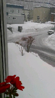 ファイル名: 2016021514460000.jpg
ファイルサイズ: 29.17KB 180(W)×320(H) 29.17