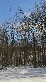 180(W)×320(H) 44.71