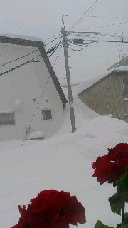 180(W)×320(H) 23.34