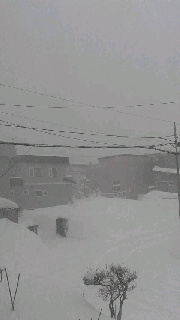 180(W)×320(H) 17.94