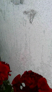 180(W)×320(H) 31.25