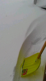 180(W)×320(H) 19.38