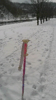 180(W)×320(H) 30.78