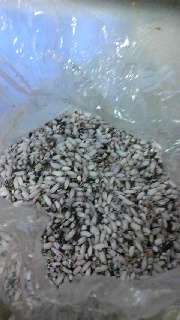 180(W)×320(H) 34.92