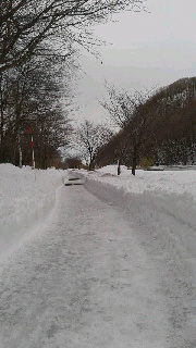 180(W)×320(H) 30.56