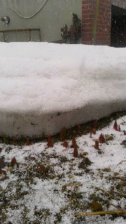 180(W)×320(H) 37.41