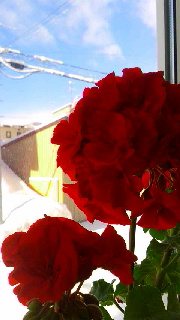 180(W)×320(H) 32.27