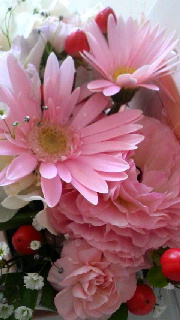 180(W)×320(H) 34.95